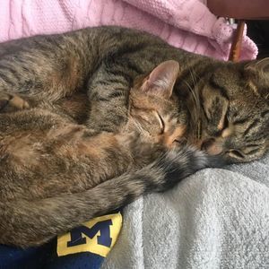 Meet your Posher, Lynn